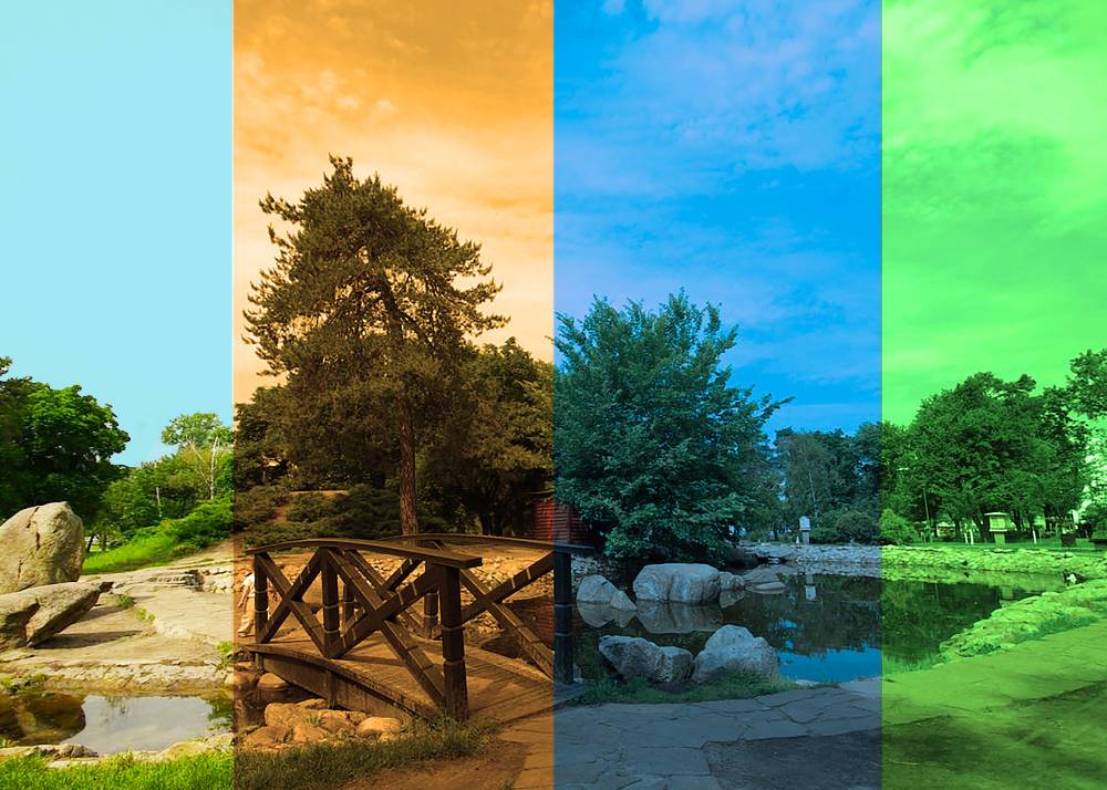 Seasonal Color Transitions: Mastering Adaptive Palettes for Year-Round Branding