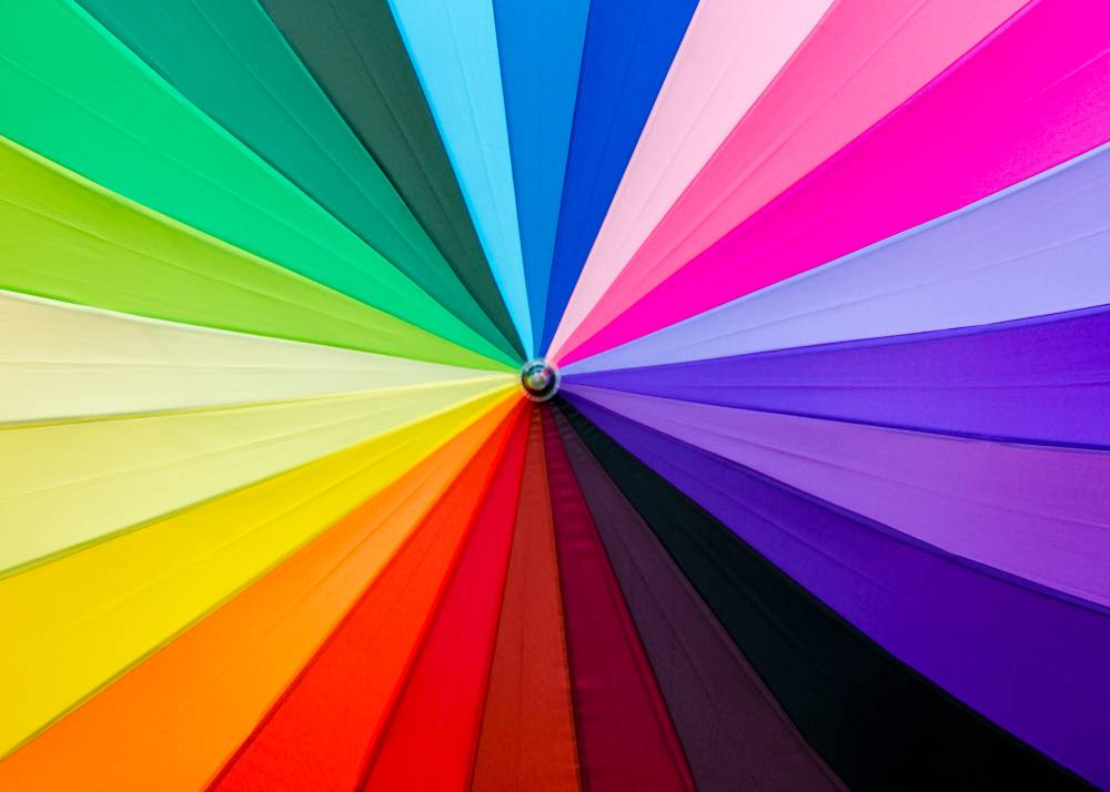 How to Learn Color Theory: A Comprehensive Guide for Creatives