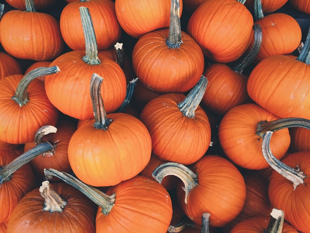 Orange and Halloween: The Vibrant Connection