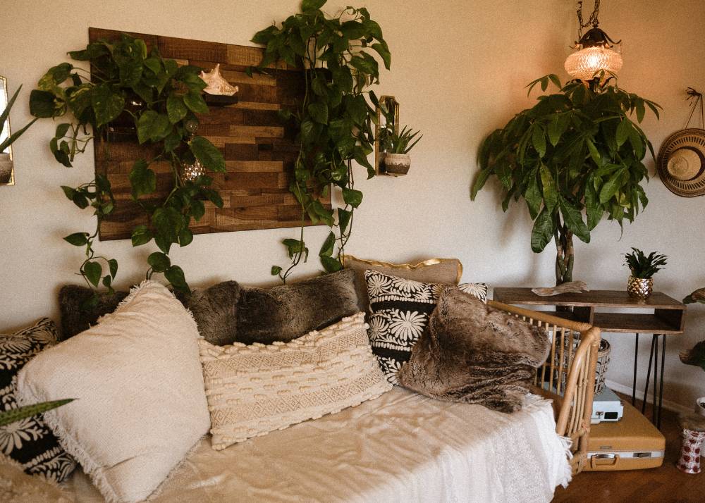 Biomimicry in Color Design: Nature's Palette for Sustainable Innovation