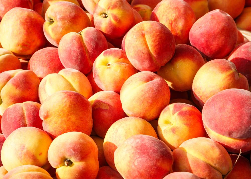 Why Are Peaches Peach?