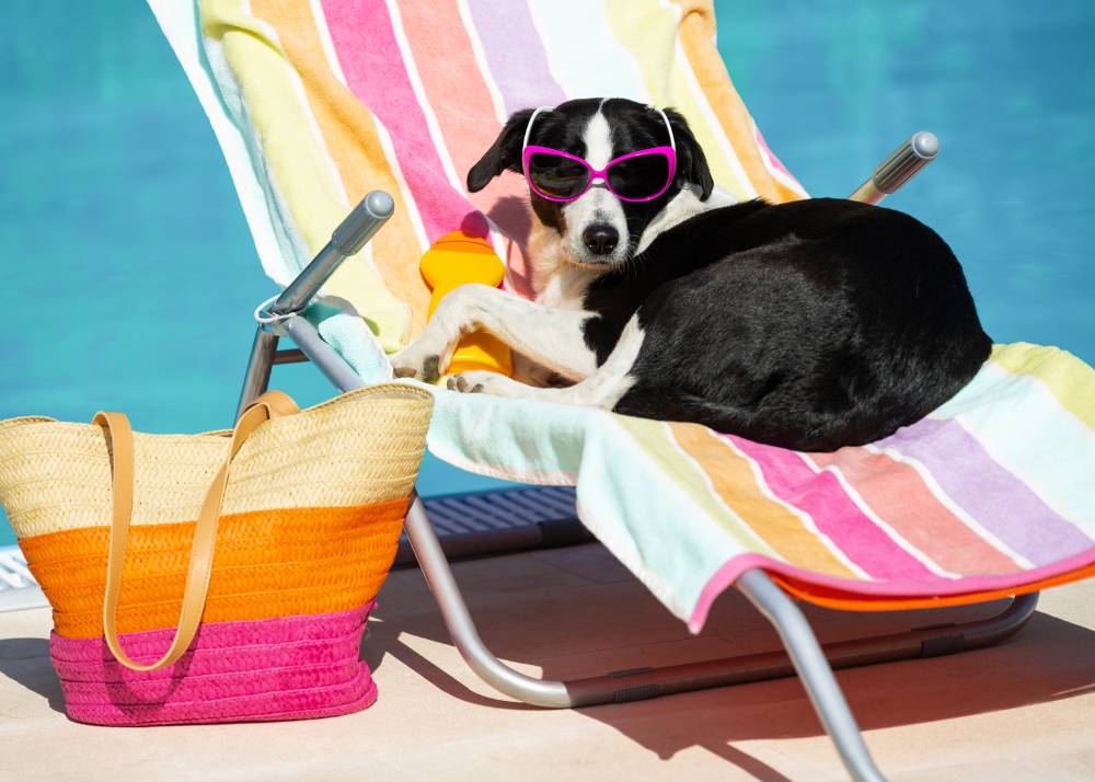 UV Light Reflection: Which Colors Offer the Best Protection?