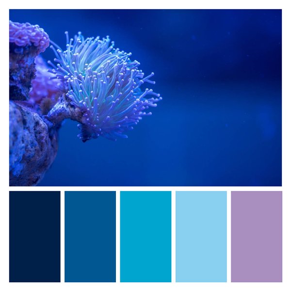 Aquatic Luminescence