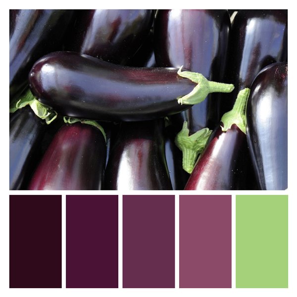 Aubergine Abundance