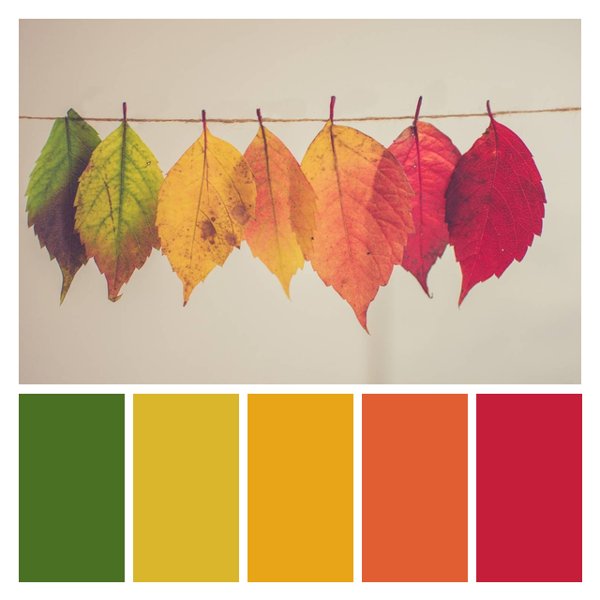 Autumn Spectrum