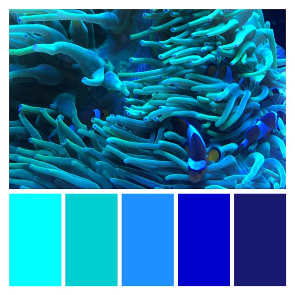 Bioluminescent Ballet