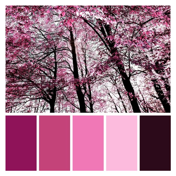 Cherry Blossom Euphoria