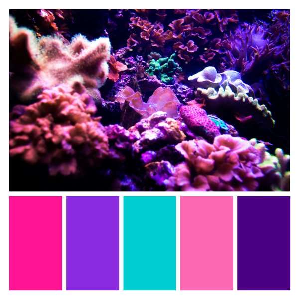 Coral Reef Radiance