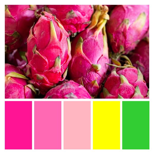 Dragon Fruit Delight