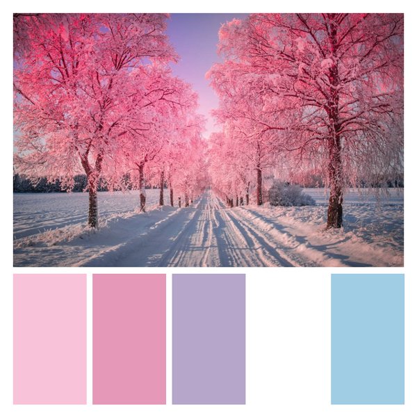 Frosted Cherry Blossoms