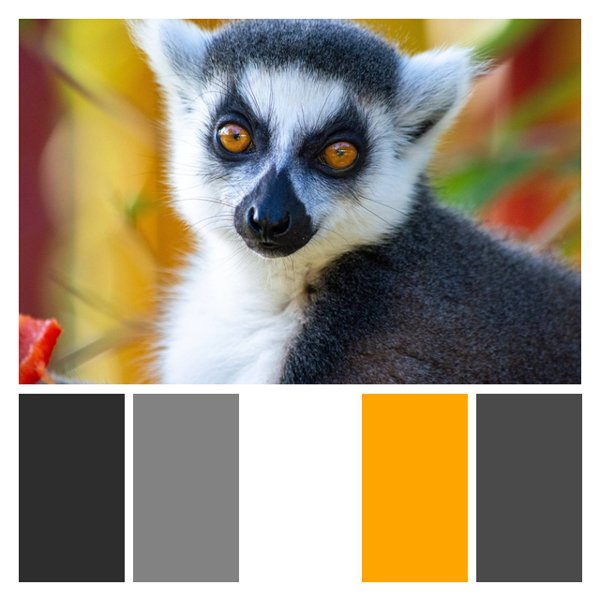 Lemur Luminance
