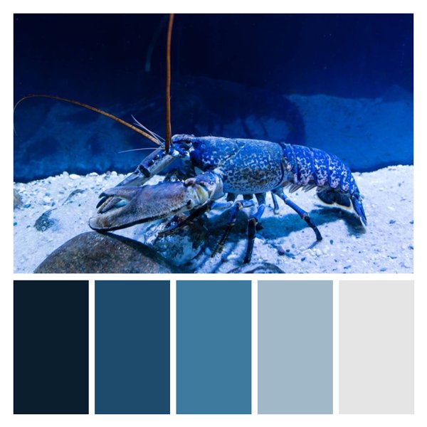 Oceanic Lobster