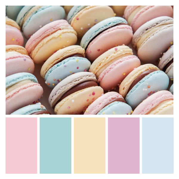Pastel Macaron Melody