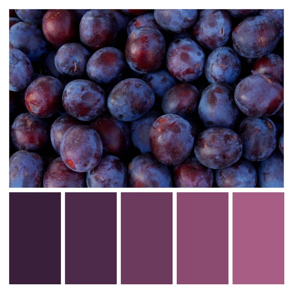 Plum Profusion