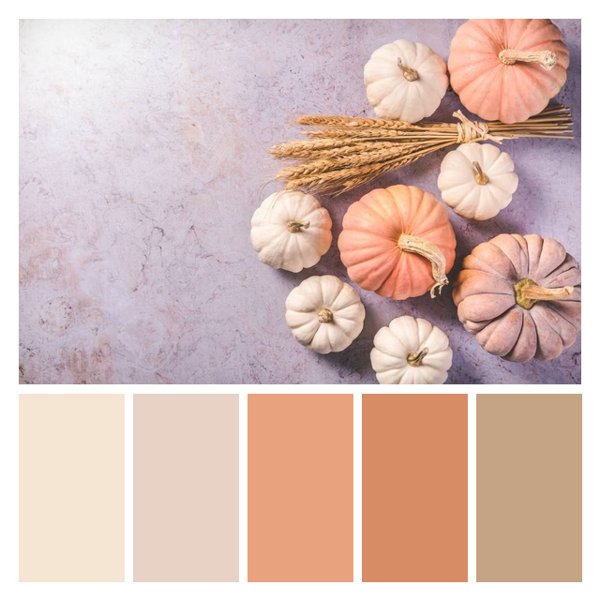 Pumpkin Spice Palette