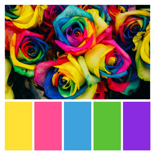 Rainbow Rose Riot
