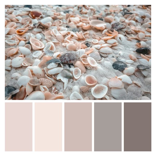 Seashell Symphony
