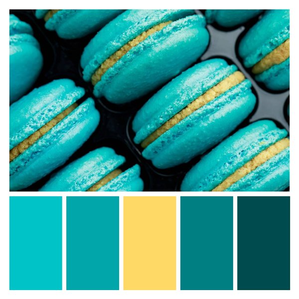 Teal Macaron Magic