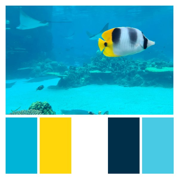 Tropical Tranquility