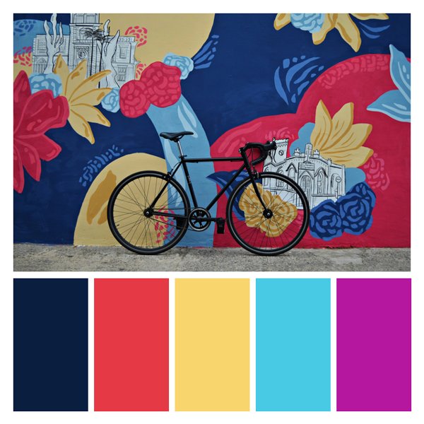 Urban Bloom Vibrancy