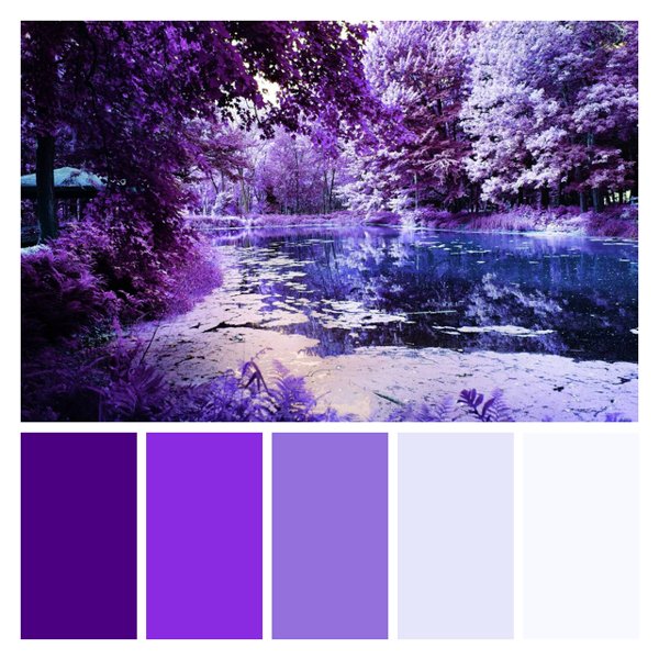 Violet Dreamscape